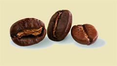 قهوه روبوستا